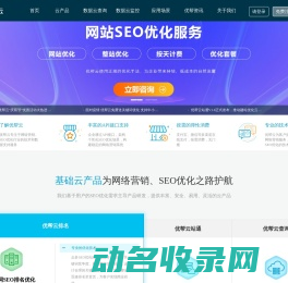 seo优化